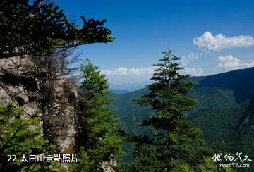 漢中天台森林公園-太白山照片