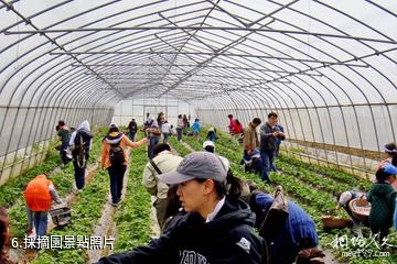 上海高家莊生態園-採摘園照片