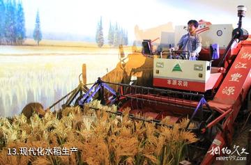 安徽中国稻米博物馆-现代化水稻生产照片