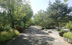 灤平南山公園旅遊攻略之綠化