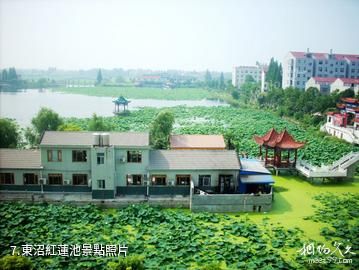 仙桃沔城旅遊區-東沼紅蓮池照片
