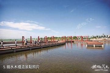 滄州貝殼湖景區-親水木棧道照片