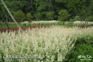 嘉荫新发岛江上公园乐园照片
