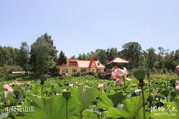 柳河生态旅游度假区-荷花山庄照片