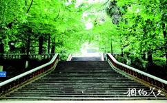 云南大学校园概况之台阶
