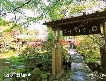 日本龍安寺-西源院照片