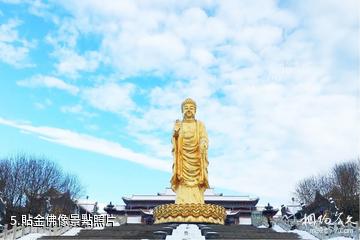 烏魯木齊紅光山景區-貼金佛像照片