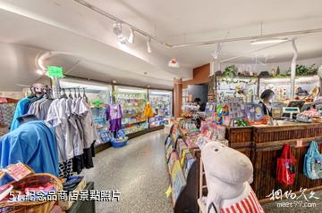 坦佩雷姆明谷博物館-紀念品商店照片