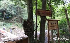 福州赤壁生态旅游攻略之香炉树