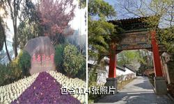 南京乌龙潭公园景区驴友相册