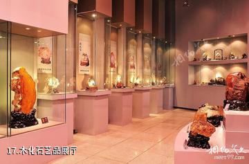 辽宁朝阳鸟化石国家地质公园-木化石艺品展厅照片