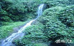 宜州古龍河漂流旅遊攻略之百米瀑布