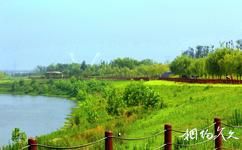 西咸沣东沣河生态旅游攻略之田园风光带