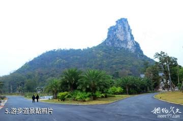 柳州馬鹿山奇石博覽園-游步道照片