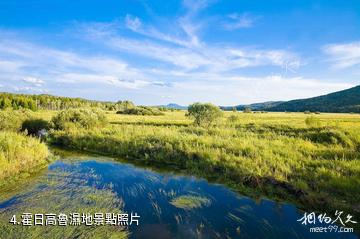 達爾濱湖國家森林公園-霍日高魯濕地照片