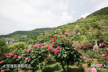 重慶開州盛山植物園-玫瑰苑照片