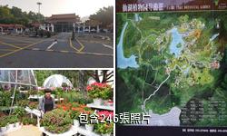 深圳仙湖植物園驢友相冊