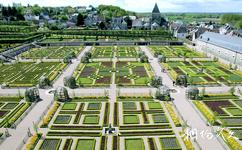 法国维朗德里城堡旅游攻略之菜园