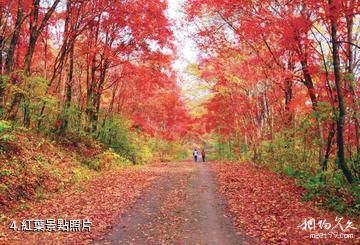 吉林紅石國家森林公園-紅葉照片