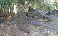 夏威夷旅游攻略之州立熔岩树公园