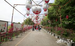 重慶開州盛山植物園旅遊攻略之景觀