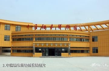 安徽中國稻米博物館-中國稻米博物館照片