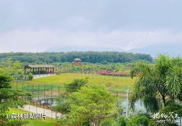 白沙聖噠噠湖畔公園-森林照片