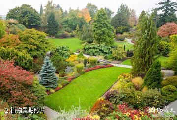 溫哥華伊麗莎白女王公園-植物照片