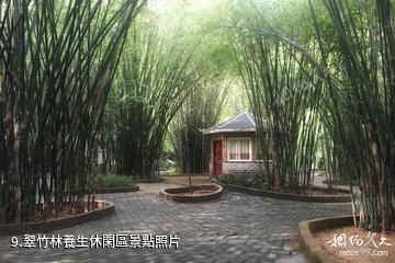 清遠洞天仙境生態旅遊度假區-翠竹林養生休閑區照片