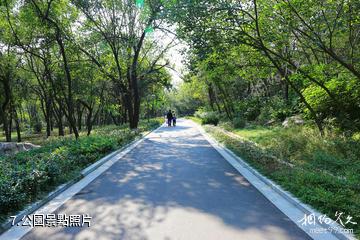 徐州泉山森林公園-公園照片