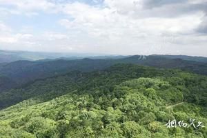 甘肅慶陽正寧旅遊景點大全