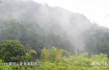 杭州東明山森林公園-東明山夏景照片