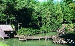 杭州東明山森林公園旅遊攻略之園景概覽