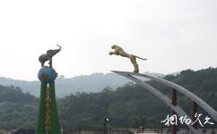 重慶野生動物世界旅遊攻略