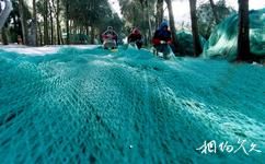 舟山螞蟻島旅遊攻略之織魚網