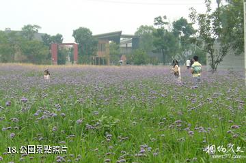 成都國際非物質文化遺產博覽園-公園照片