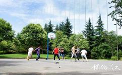 西安城市运动公园旅游攻略之三人篮球场
