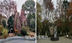 崑山城市生態森林公園驢友相冊