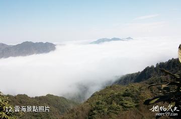 六盤水玉舍國家森林公園-雲海照片