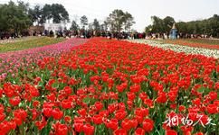 湖南省森林植物園旅遊攻略之世界名花園