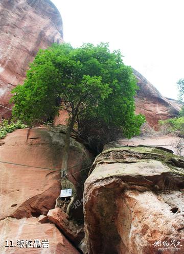泸州天仙硐风景区-银桩矗岩照片
