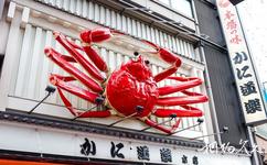 日本大阪道頓堀旅遊攻略之蟹道樂