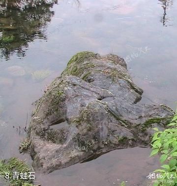 牯牛降历溪景区-青蛙石照片