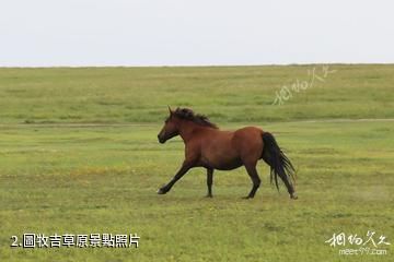 內蒙古圖牧吉國家級自然保護區-圖牧吉草原照片