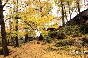 贵州六盘水盘县石桥旅游景点大全