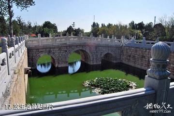 新鄉潞王陵-放生池照片
