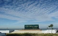 天津古海岸与湿地国家级自然保护区旅游攻略