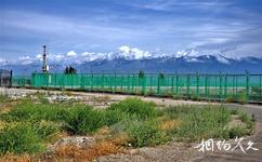 新疆霍尔果斯中哈国际旅游攻略之铁丝网