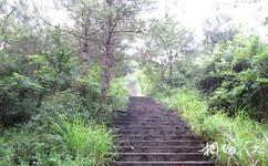 贛州馬祖岩旅遊攻略之森林公園