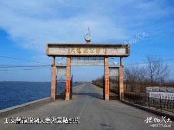 東營龍悅湖天鵝湖照片